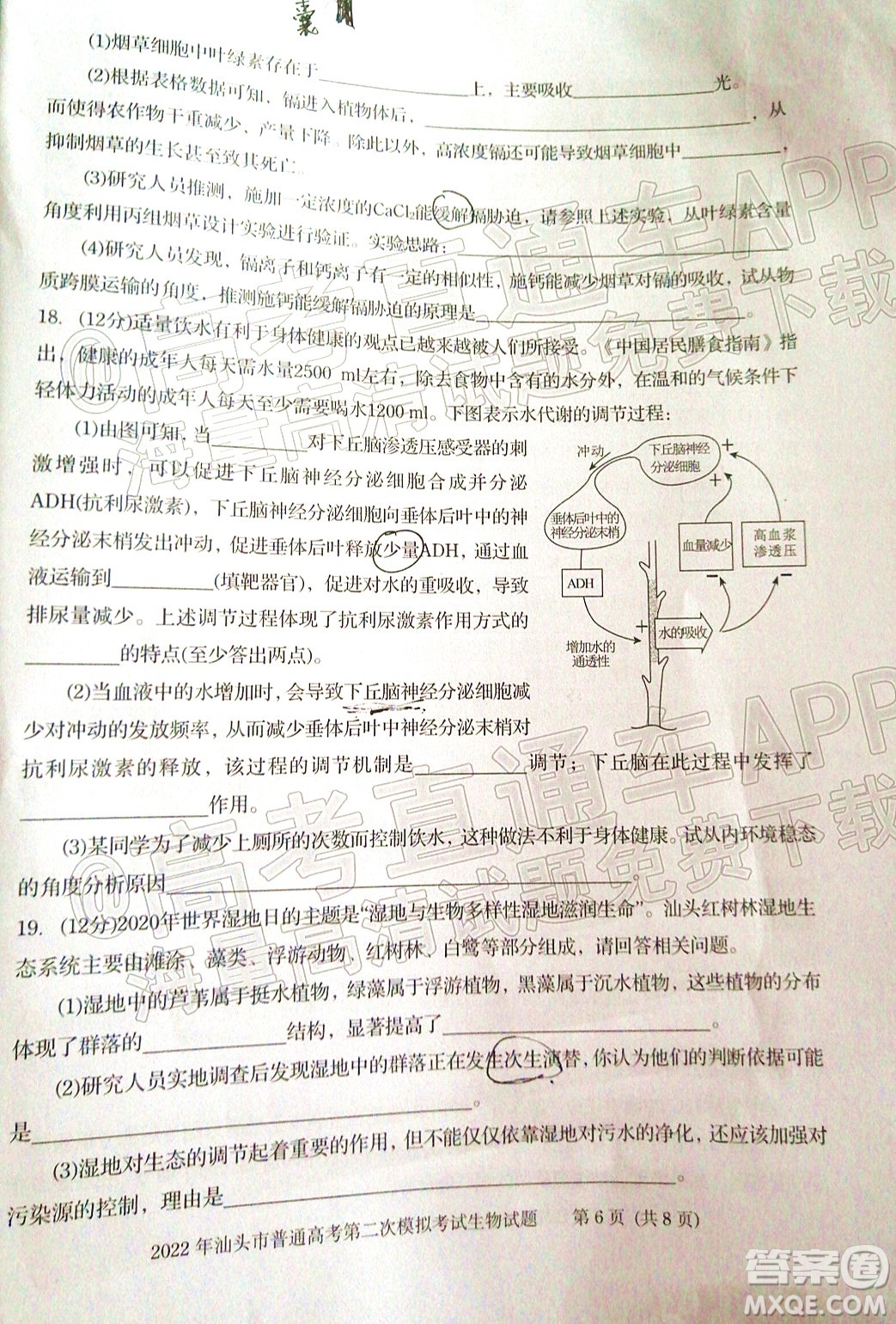 2022年汕頭市普通高考第一次模擬考試試題生物答案