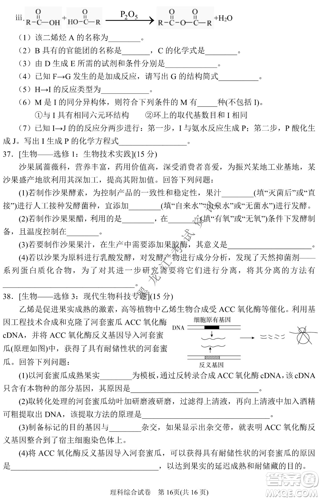 2022銀川一中第二次模擬考試?yán)砜凭C合能力測試試卷及答案