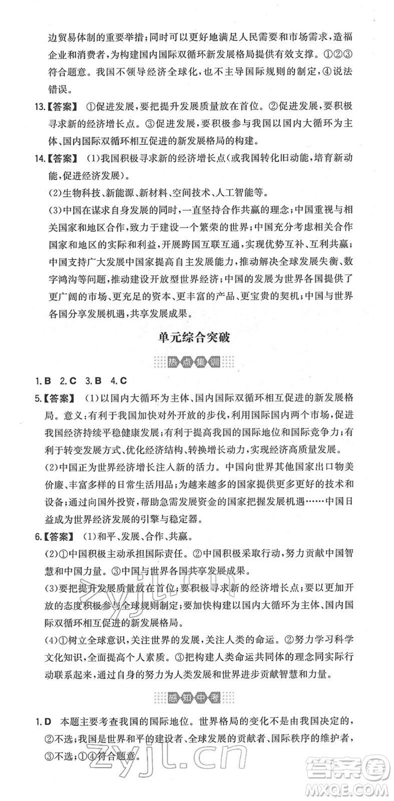 湖南教育出版社2022一本同步訓(xùn)練九年級道德與法治下冊RJ人教版安徽專版答案