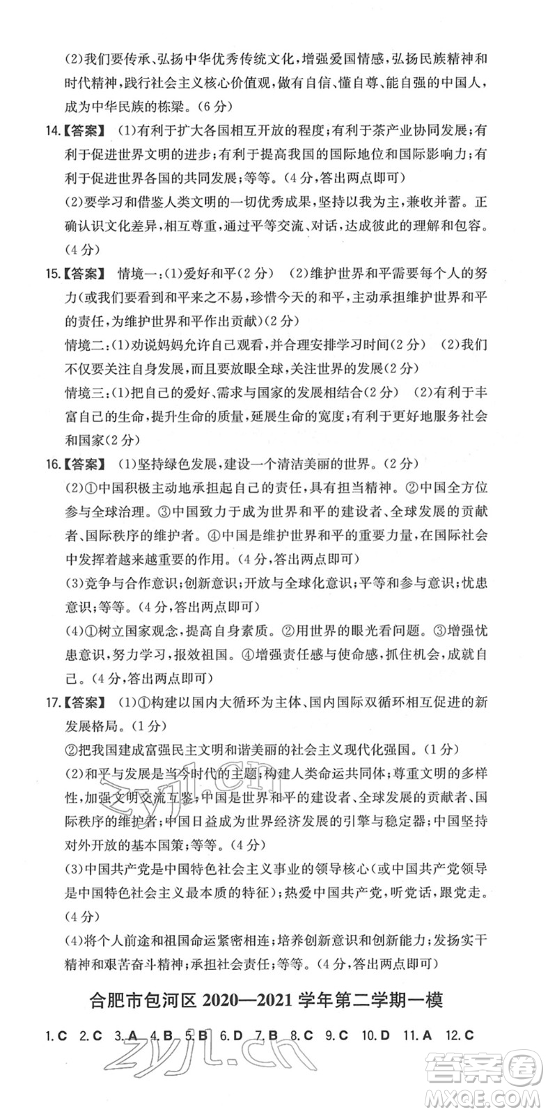 湖南教育出版社2022一本同步訓(xùn)練九年級道德與法治下冊RJ人教版安徽專版答案