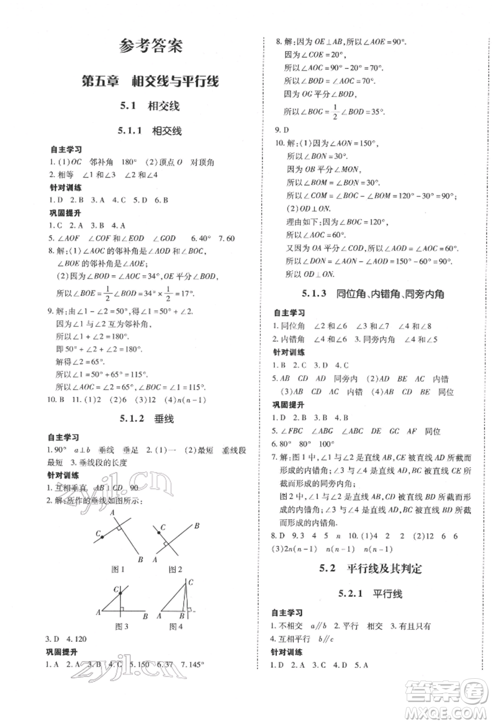 延邊大學出版社2022本土攻略七年級下冊數(shù)學人教版參考答案