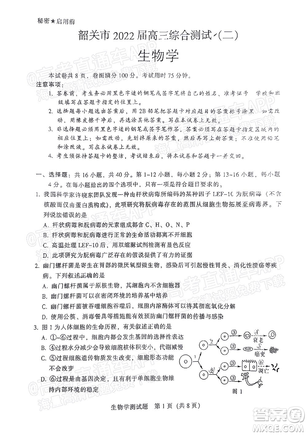 韶關(guān)市2022屆高三綜合測試二生物學(xué)試題及答案