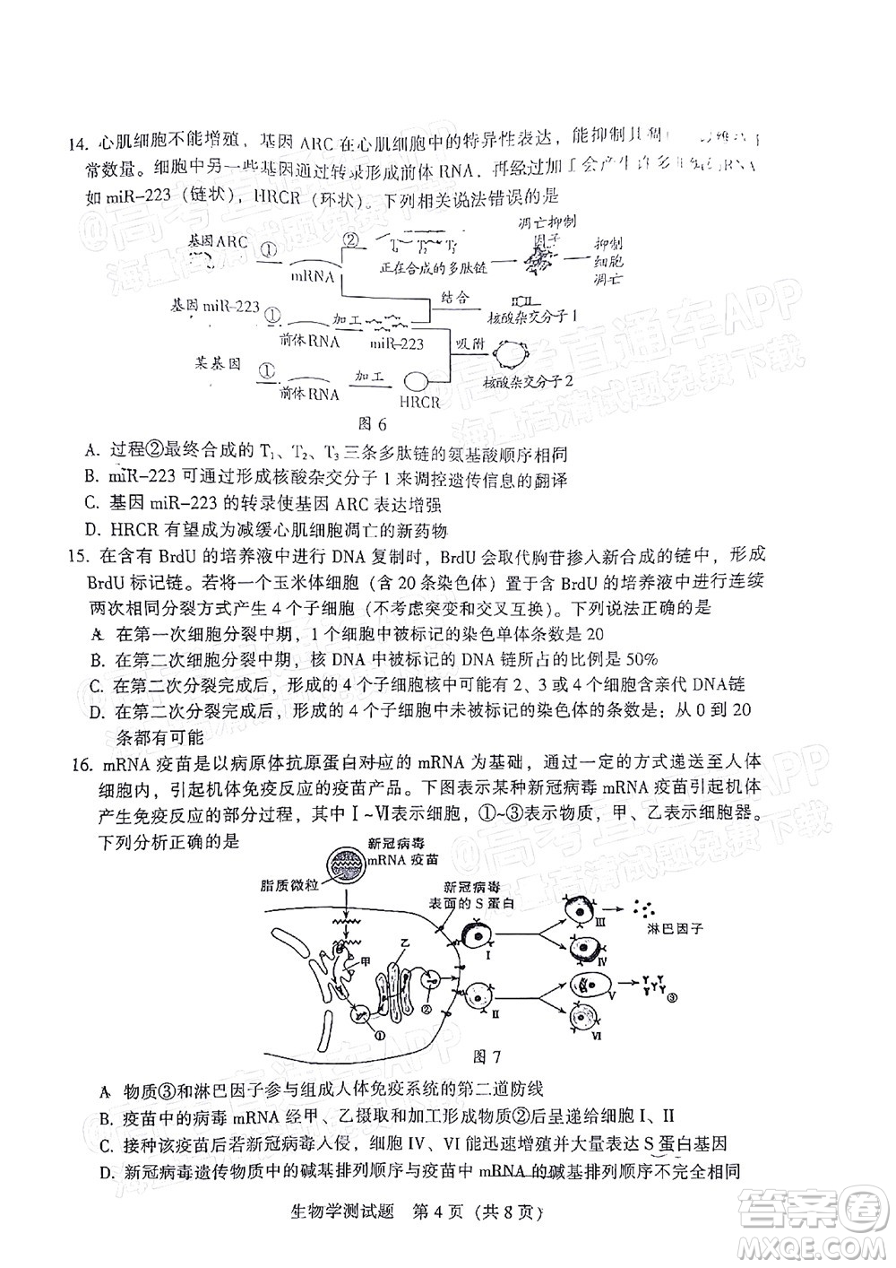 韶關(guān)市2022屆高三綜合測試二生物學(xué)試題及答案