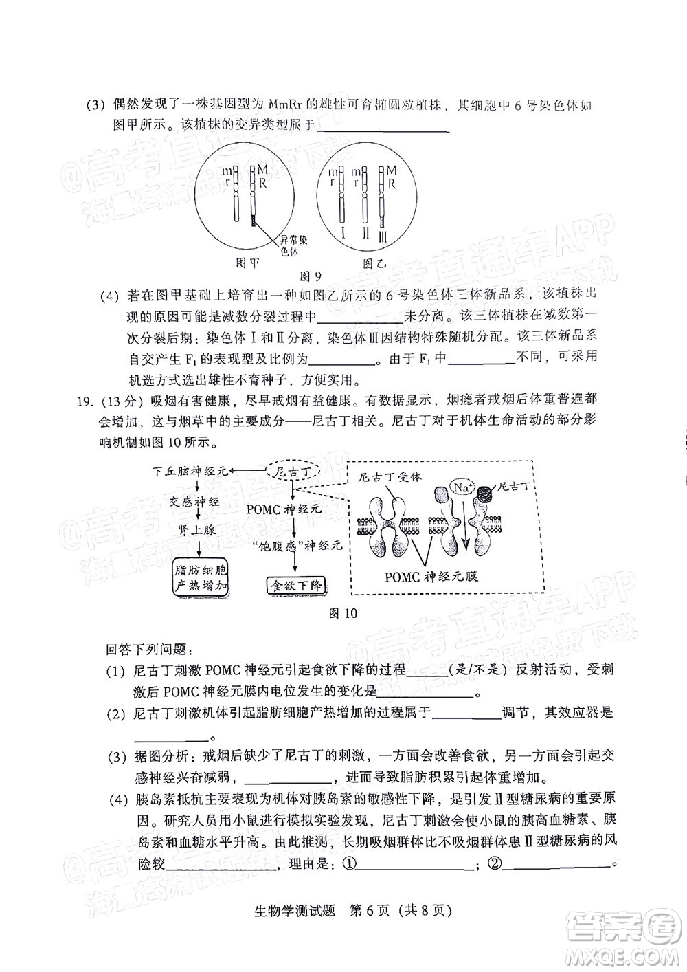 韶關(guān)市2022屆高三綜合測試二生物學(xué)試題及答案