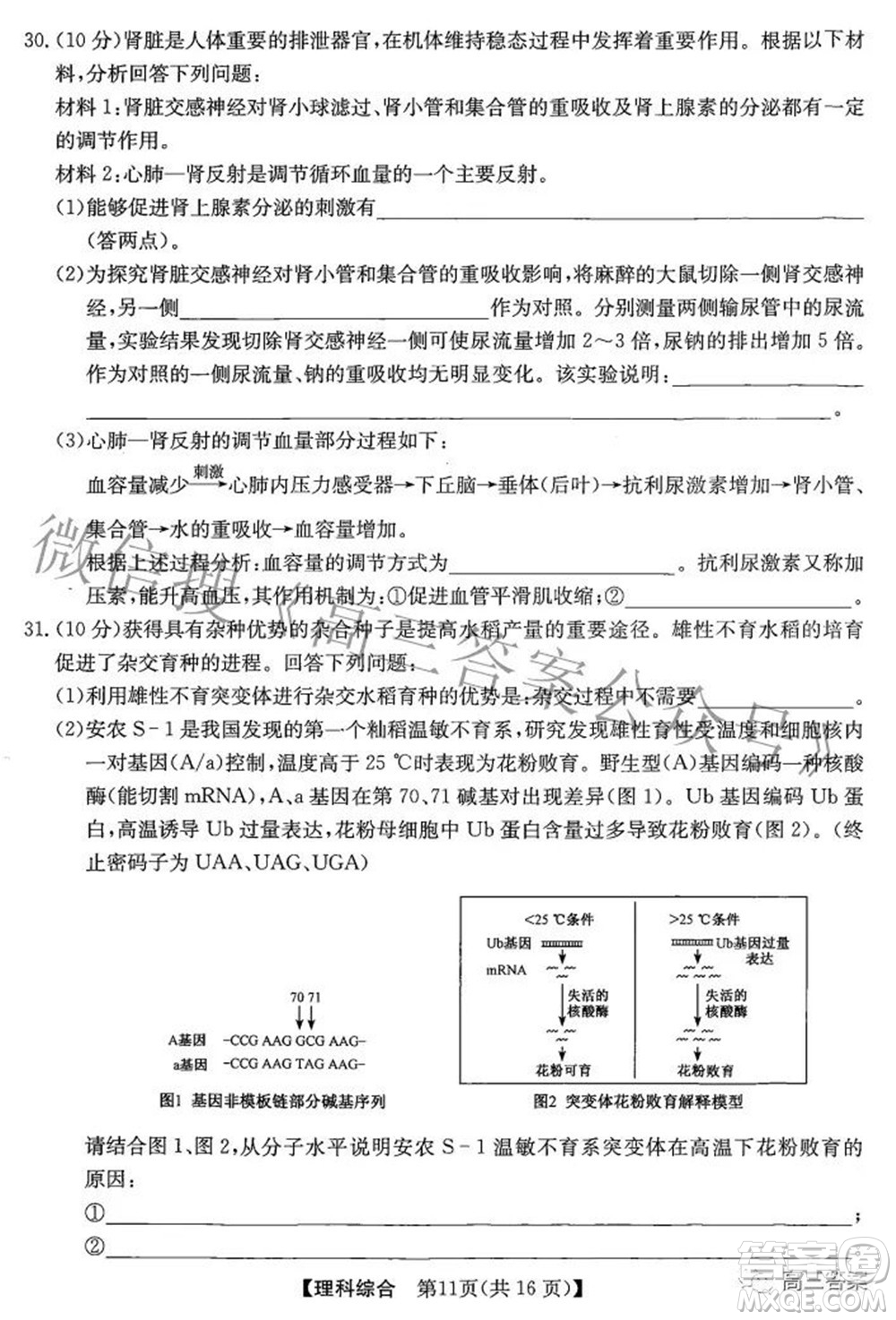 安徽省2022年高考考前適應(yīng)性考試?yán)砜凭C合試題及答案