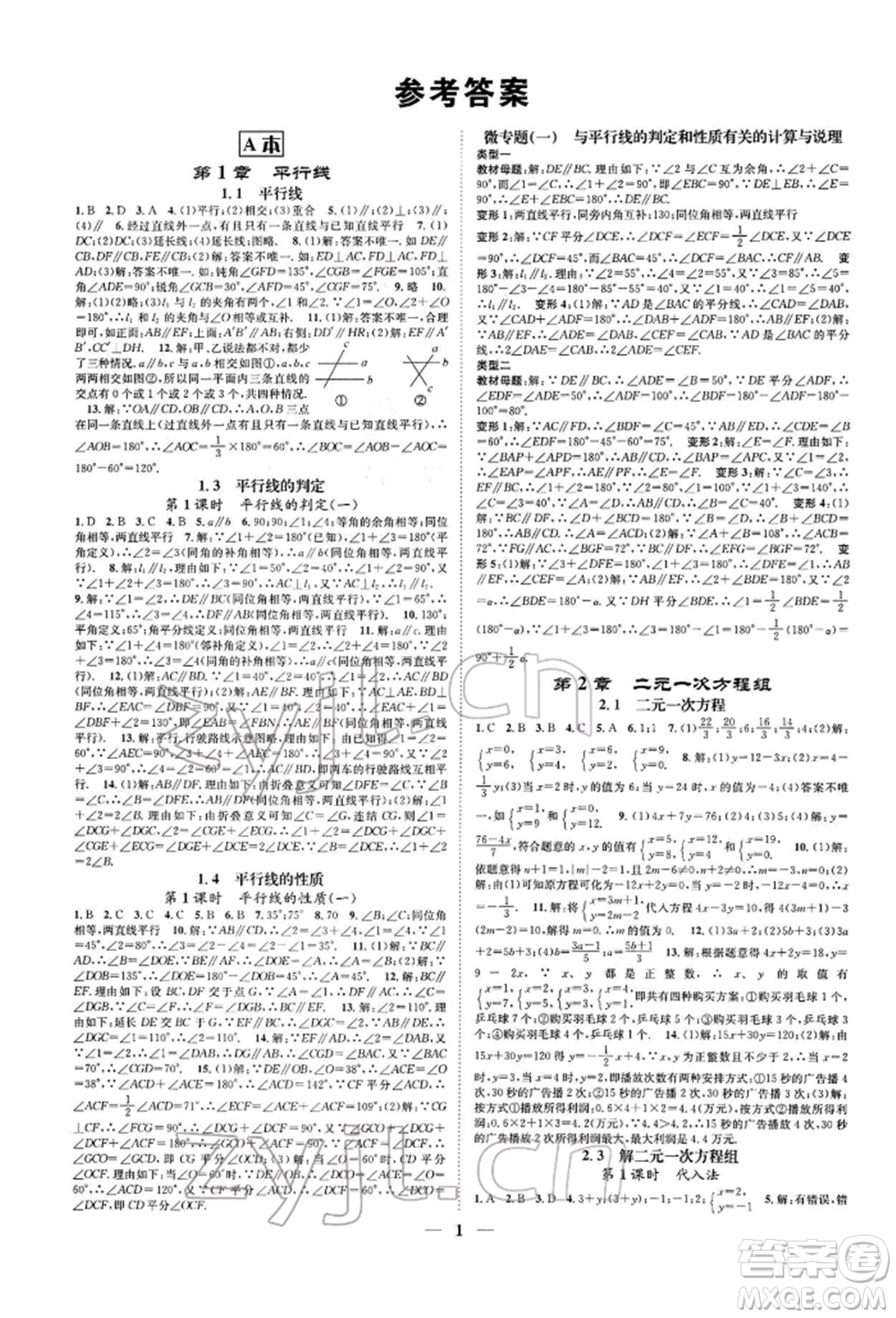 天津科學技術出版社2022智慧學堂核心素養(yǎng)提升法A本七年級下冊數(shù)學浙教版浙江專版參考答案