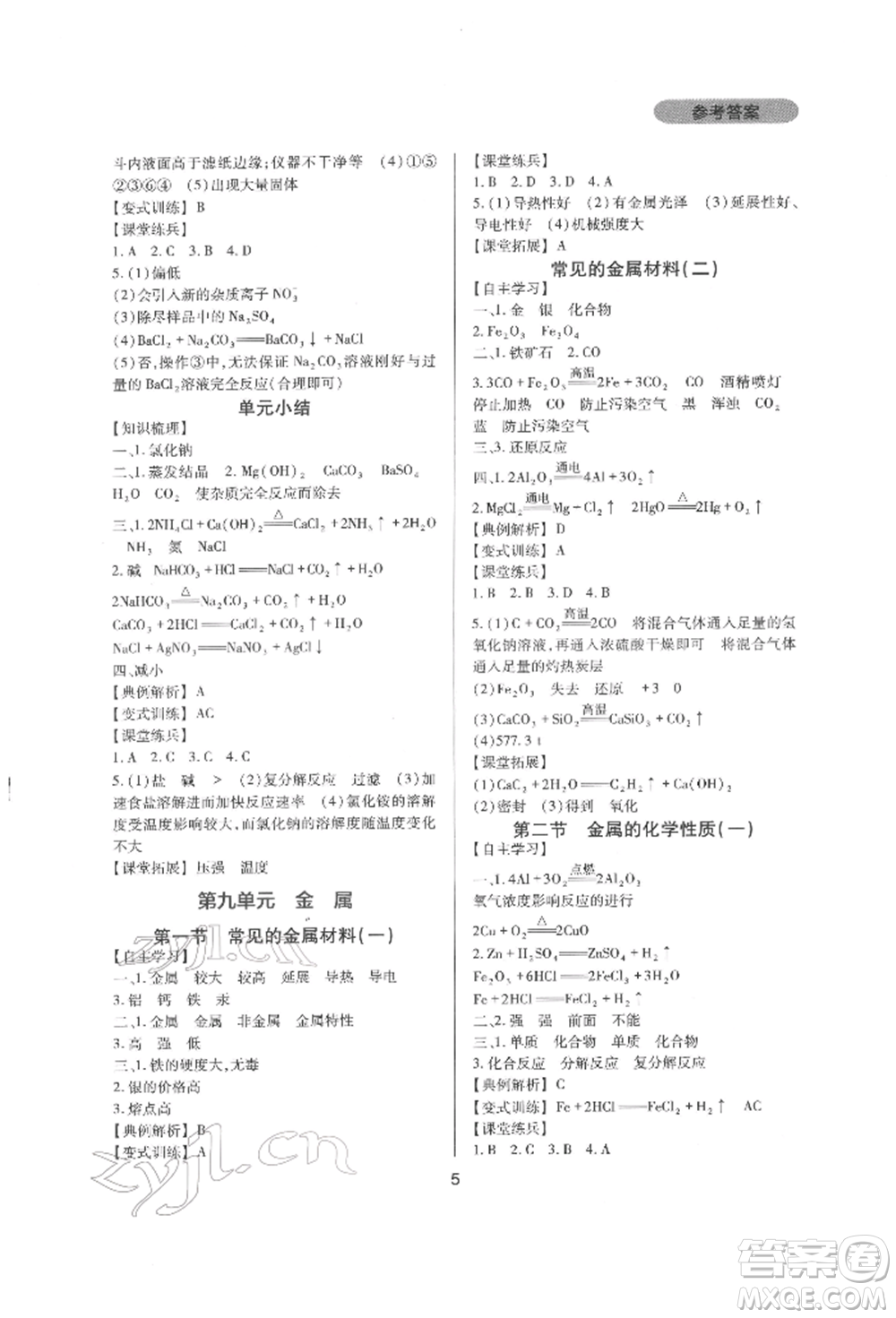 四川教育出版社2022新課程實(shí)踐與探究叢書(shū)九年級(jí)下冊(cè)化學(xué)山東教育版參考答案