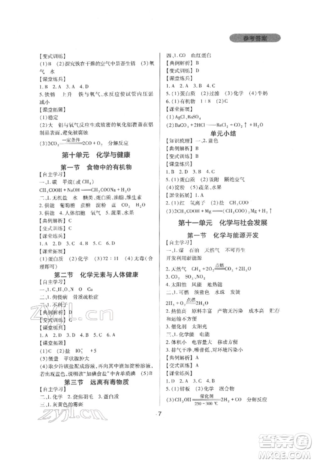 四川教育出版社2022新課程實(shí)踐與探究叢書(shū)九年級(jí)下冊(cè)化學(xué)山東教育版參考答案