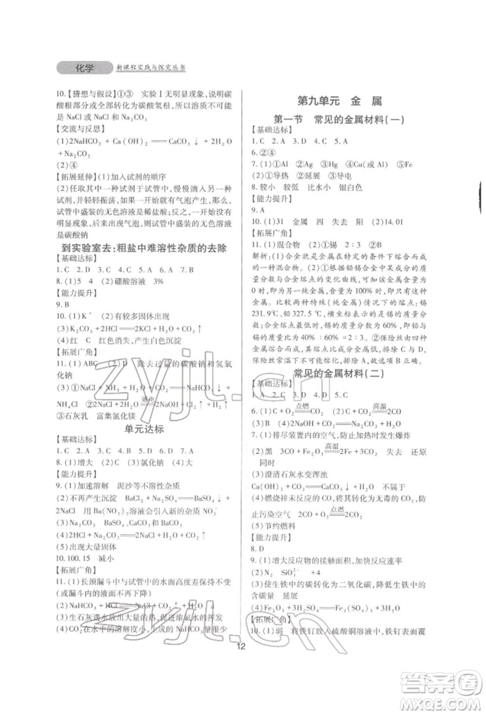 四川教育出版社2022新課程實(shí)踐與探究叢書(shū)九年級(jí)下冊(cè)化學(xué)山東教育版參考答案