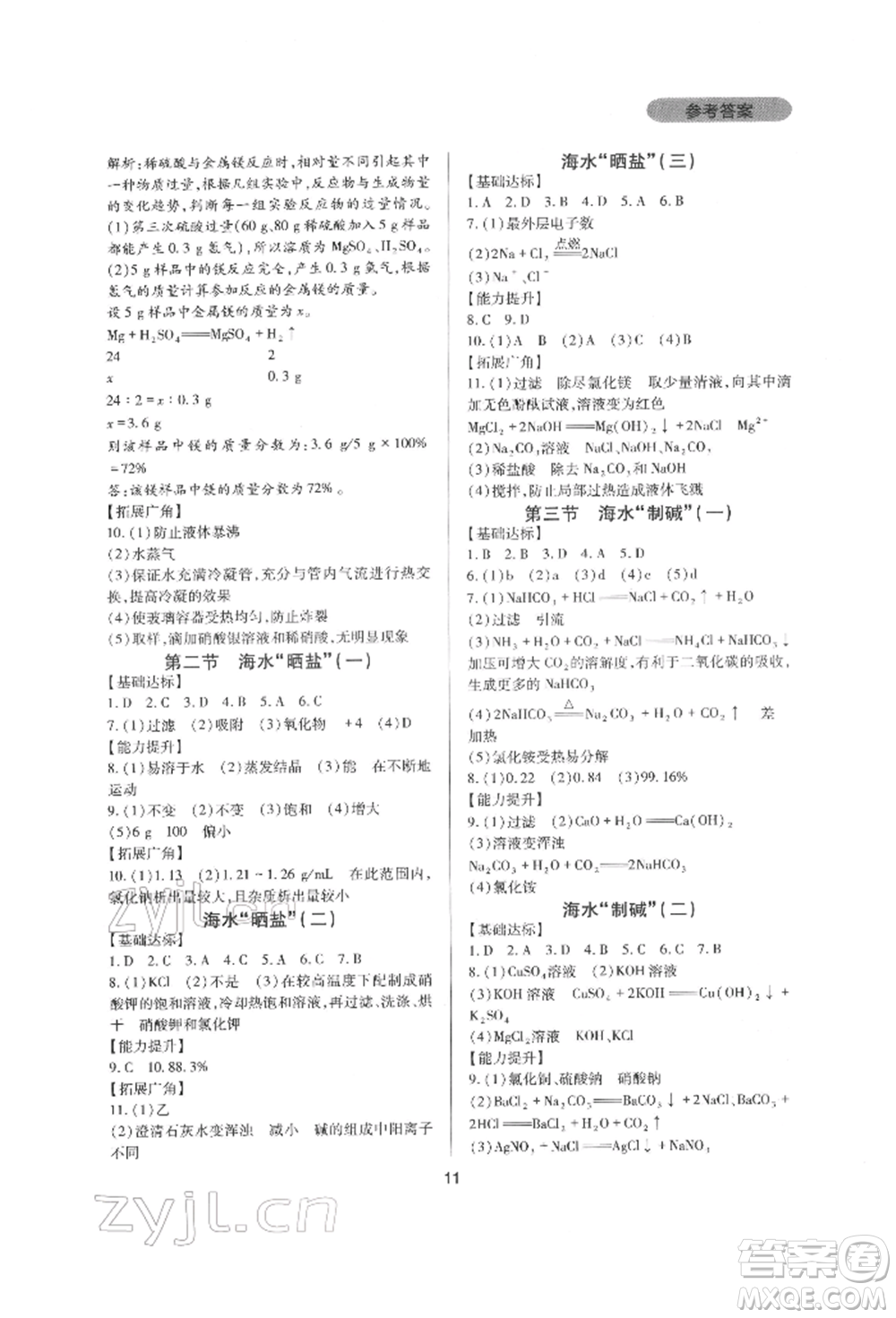 四川教育出版社2022新課程實(shí)踐與探究叢書(shū)九年級(jí)下冊(cè)化學(xué)山東教育版參考答案