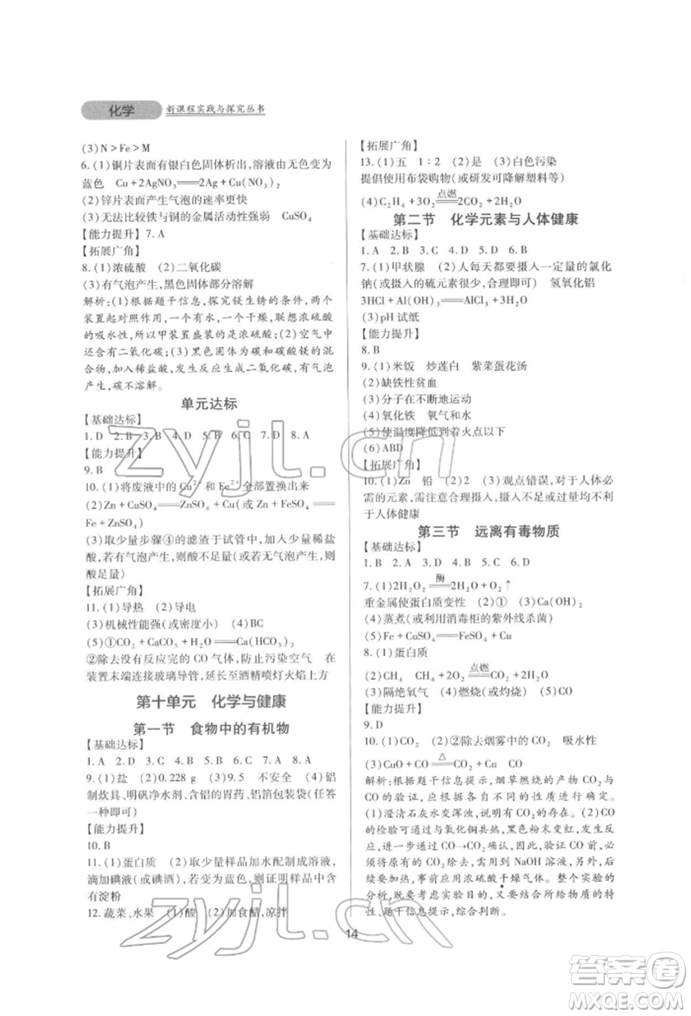 四川教育出版社2022新課程實(shí)踐與探究叢書(shū)九年級(jí)下冊(cè)化學(xué)山東教育版參考答案