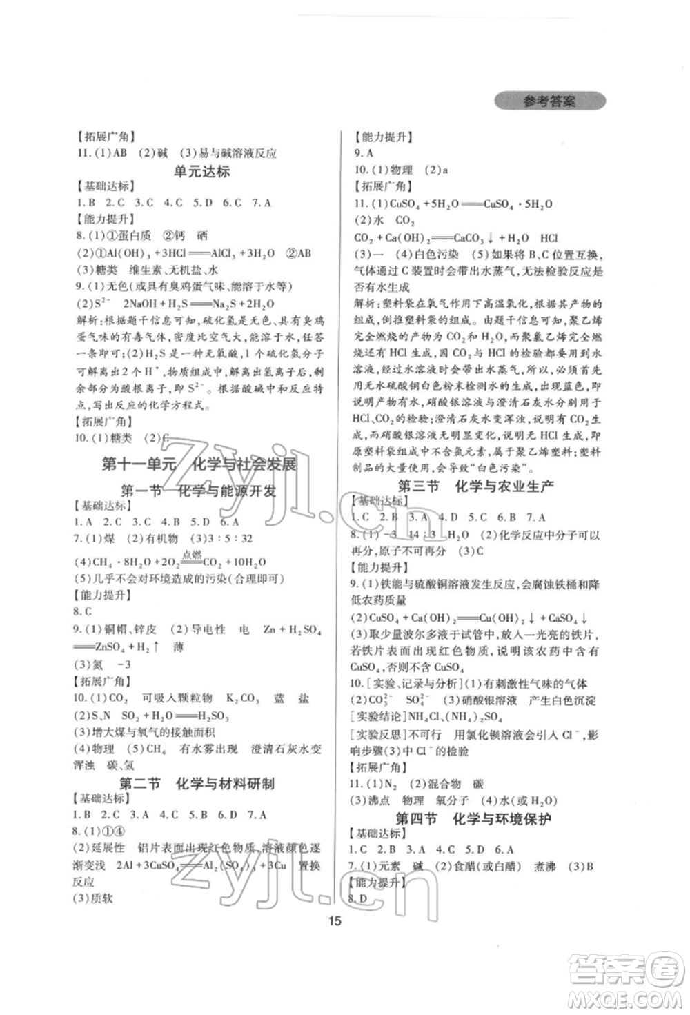 四川教育出版社2022新課程實(shí)踐與探究叢書(shū)九年級(jí)下冊(cè)化學(xué)山東教育版參考答案