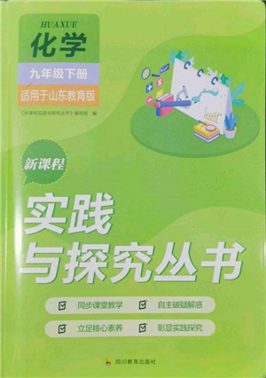 四川教育出版社2022新課程實(shí)踐與探究叢書(shū)九年級(jí)下冊(cè)化學(xué)山東教育版參考答案