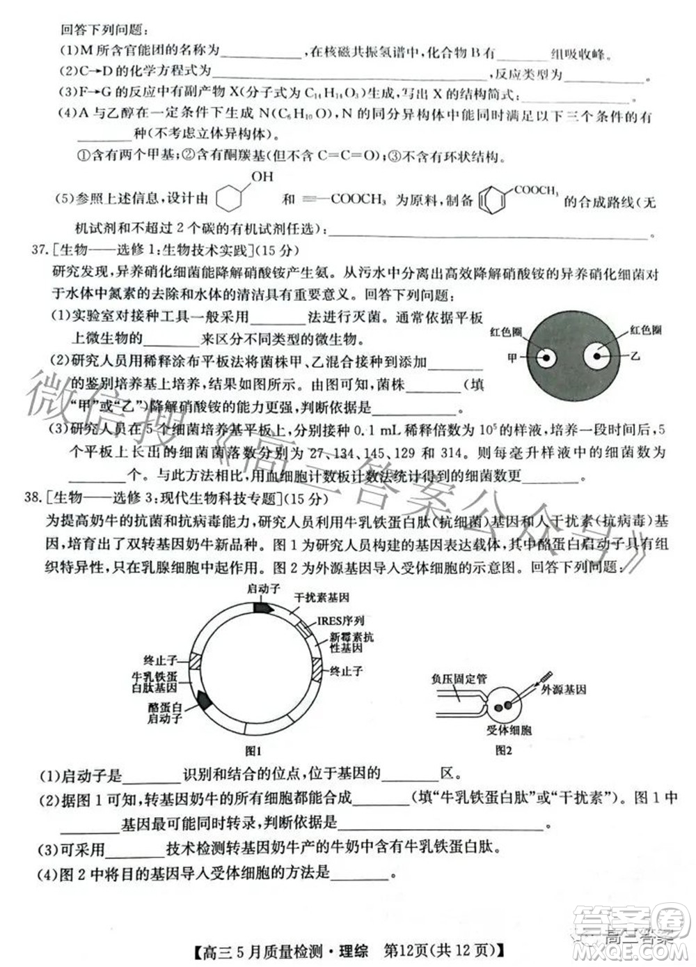 2022九師聯(lián)盟高三5月質(zhì)量檢測理科綜合試題及答案