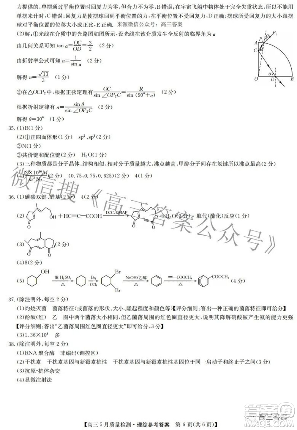 2022九師聯(lián)盟高三5月質(zhì)量檢測理科綜合試題及答案