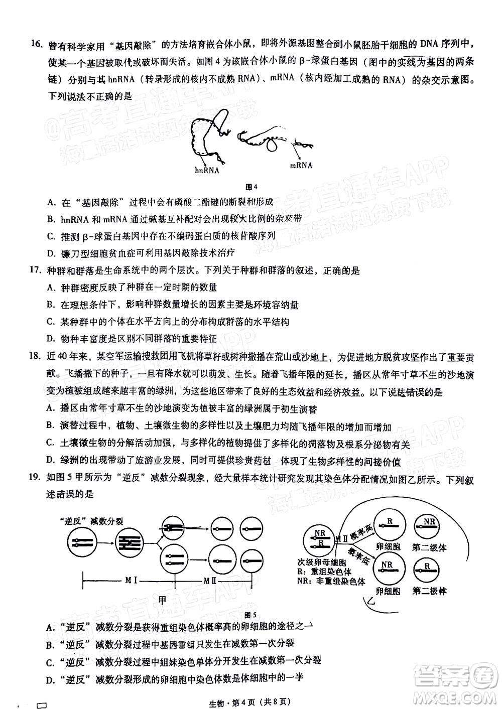 巴蜀中學(xué)2022屆高考適應(yīng)性月考卷九生物試題及答案