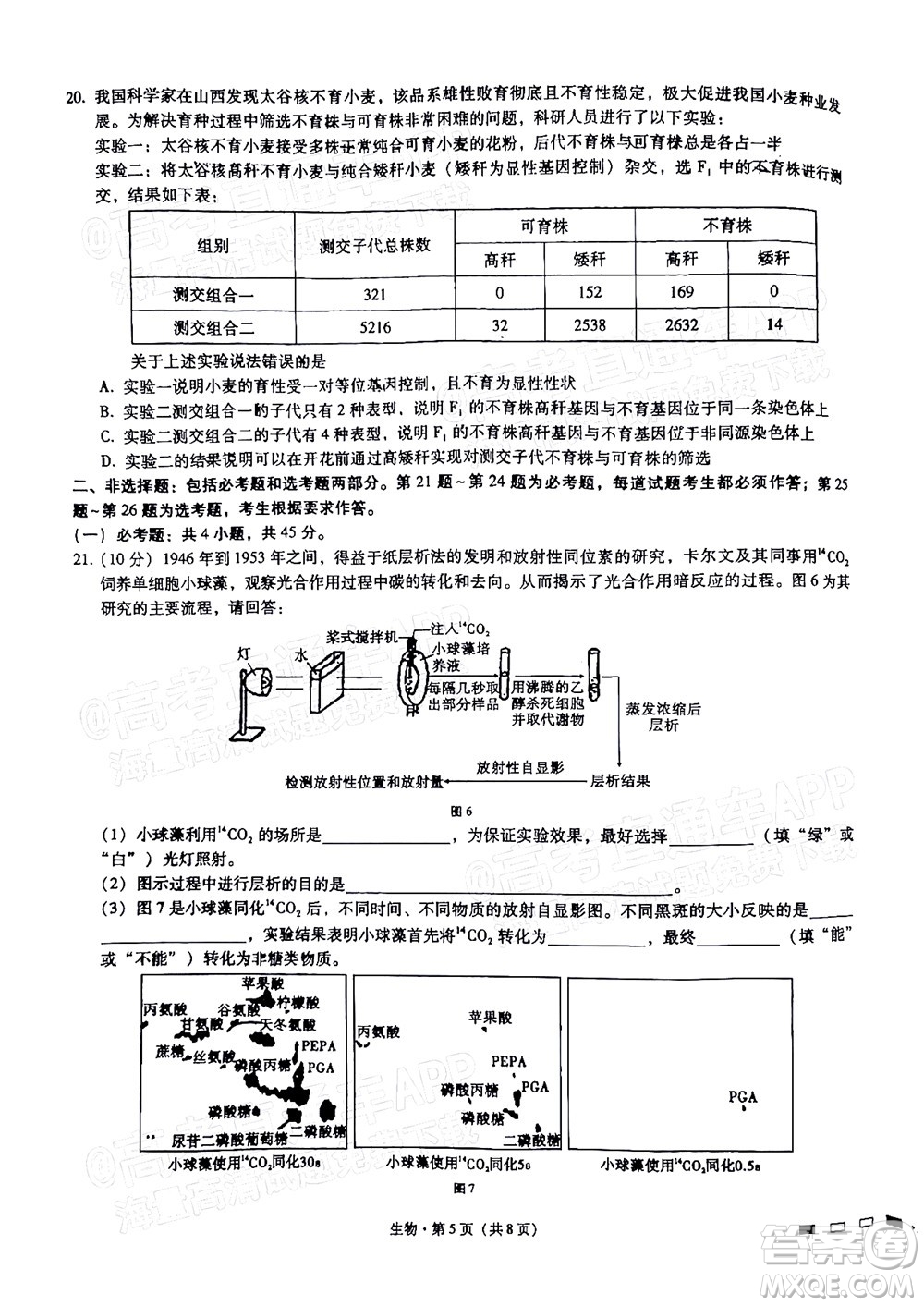 巴蜀中學(xué)2022屆高考適應(yīng)性月考卷九生物試題及答案