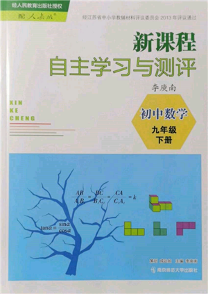 南京師范大學出版社2022新課程自主學習與測評九年級下冊數(shù)學人教版參考答案