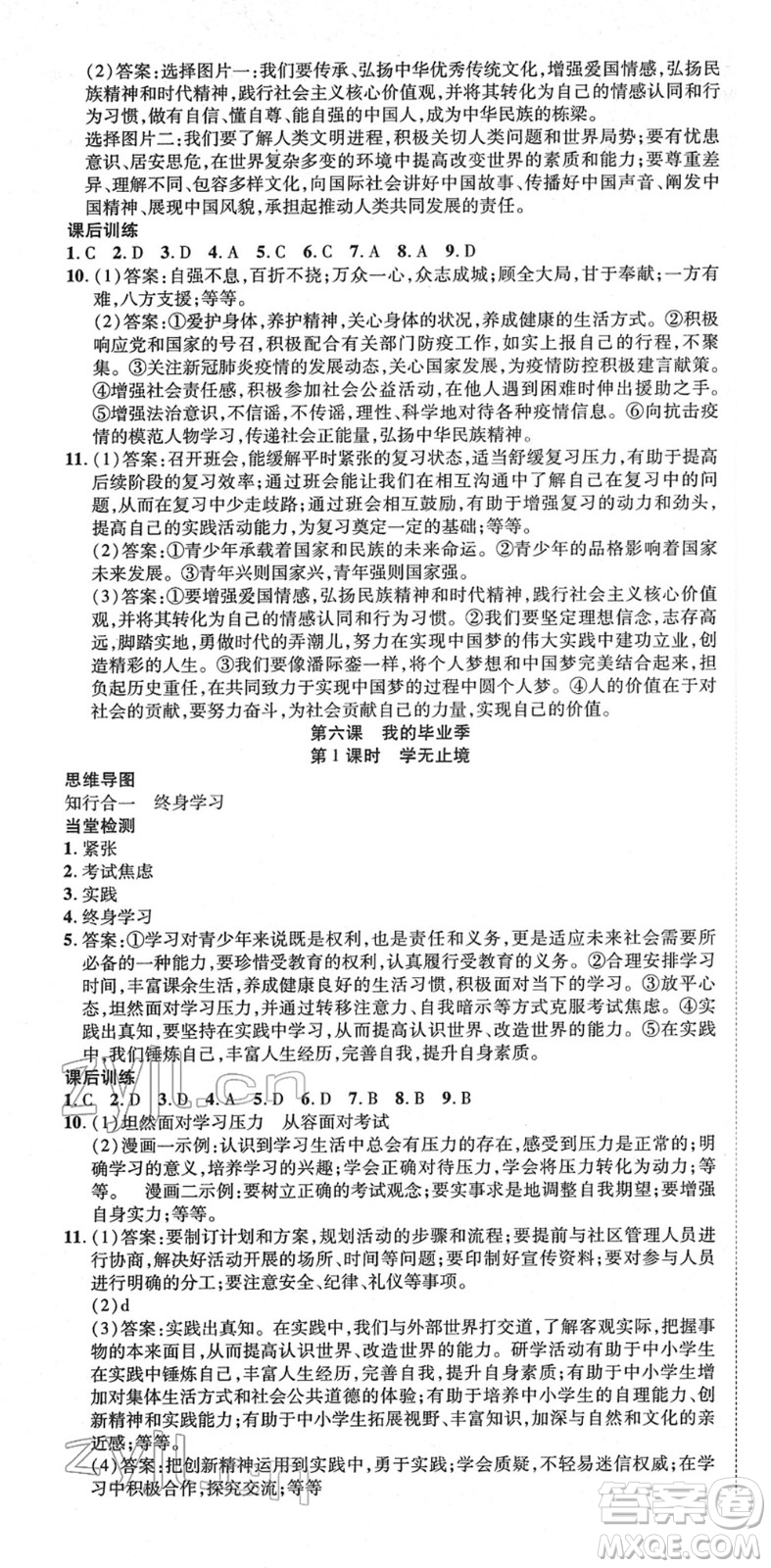 延邊教育出版社2022暢行課堂九年級道德與法治下冊RJB人教版山西專版答案