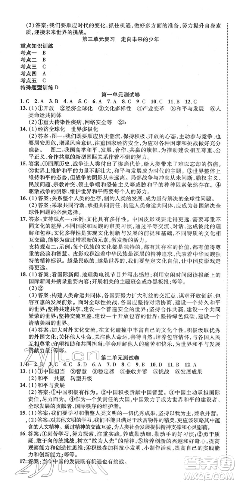 延邊教育出版社2022暢行課堂九年級道德與法治下冊RJB人教版山西專版答案