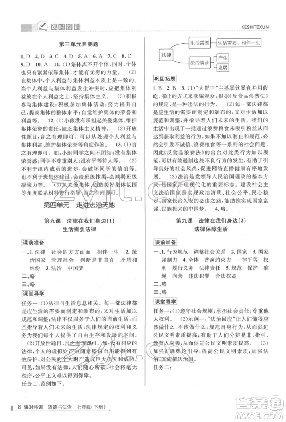 浙江人民出版社2022課時特訓(xùn)七年級下冊道德與法治通用版參考答案