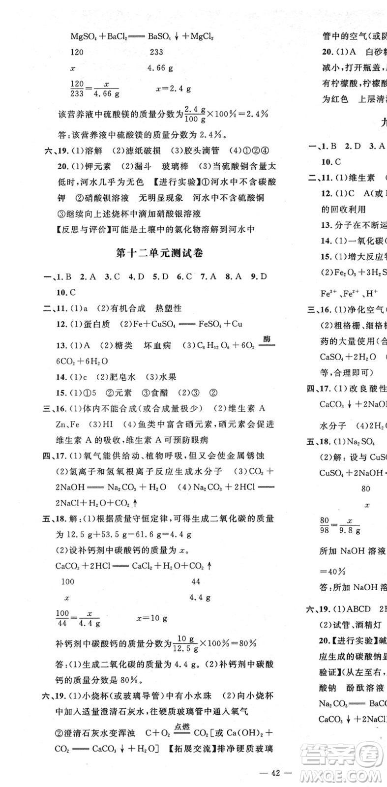 延邊教育出版社2022暢行課堂九年級化學(xué)下冊RJB人教版山西專版答案