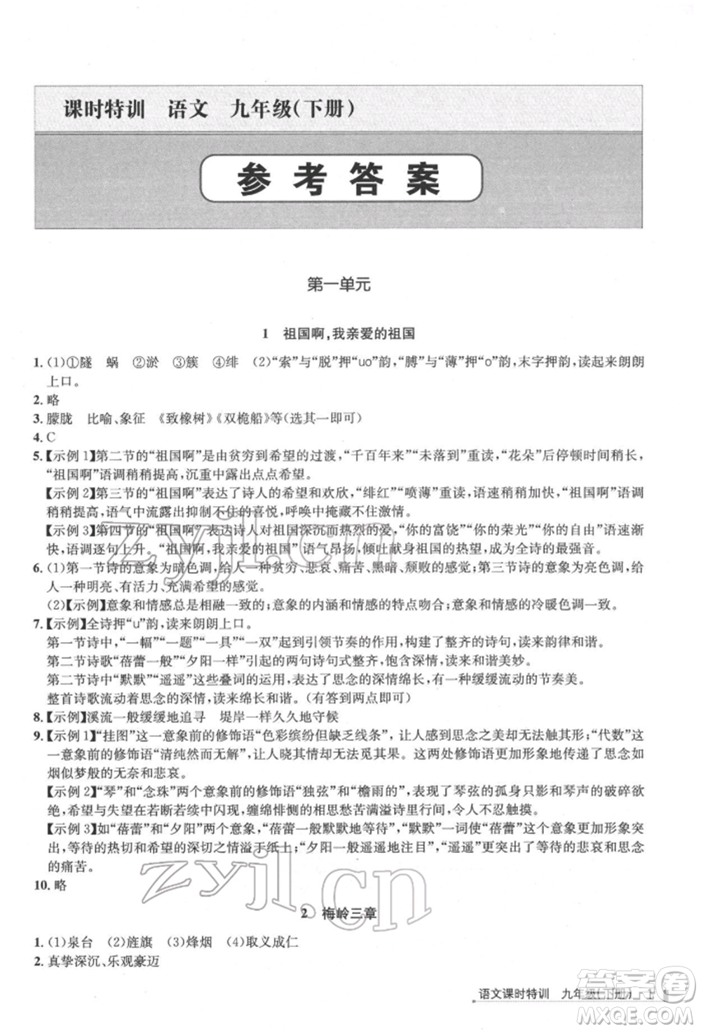 浙江人民出版社2022課時特訓九年級下冊語文人教版參考答案