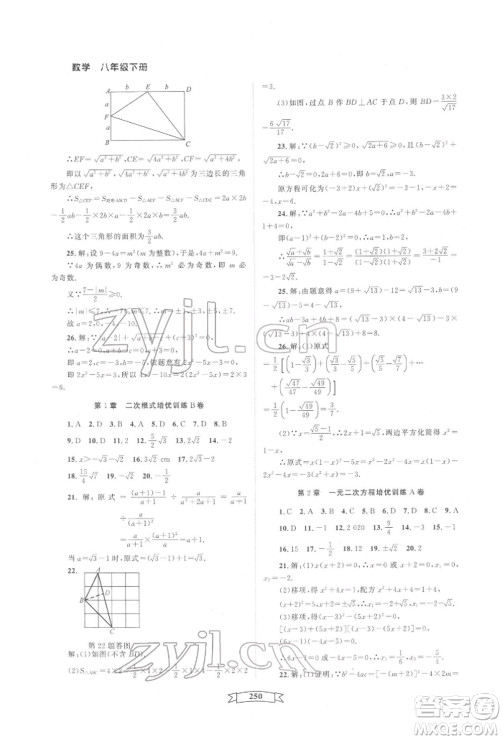 天津科學(xué)技術(shù)出版社2022重點中學(xué)與你有約八年級下冊數(shù)學(xué)通用版參考答案