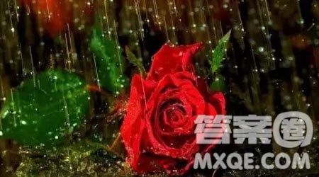 風雨中我心依舊為題作文600字 關于風雨中我心依舊為題的作文600字