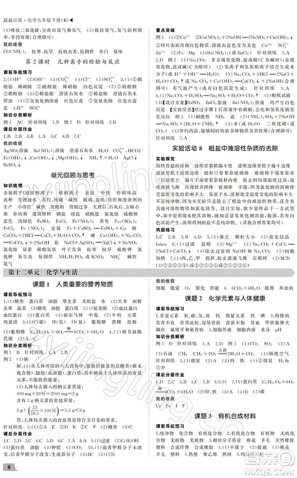 內(nèi)蒙古大學(xué)出版社2022超越訓(xùn)練九年級化學(xué)下冊R人教版答案