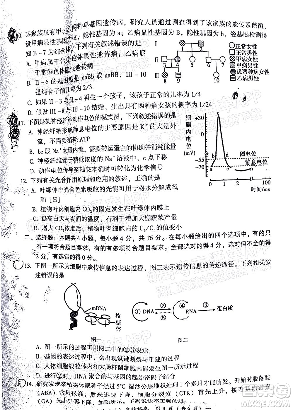 衡陽2022屆高中畢業(yè)班聯(lián)考三生物試題及答案