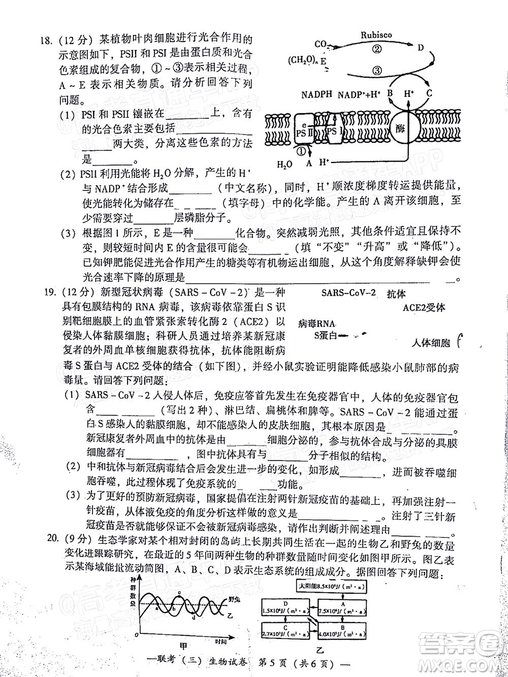 衡陽2022屆高中畢業(yè)班聯(lián)考三生物試題及答案