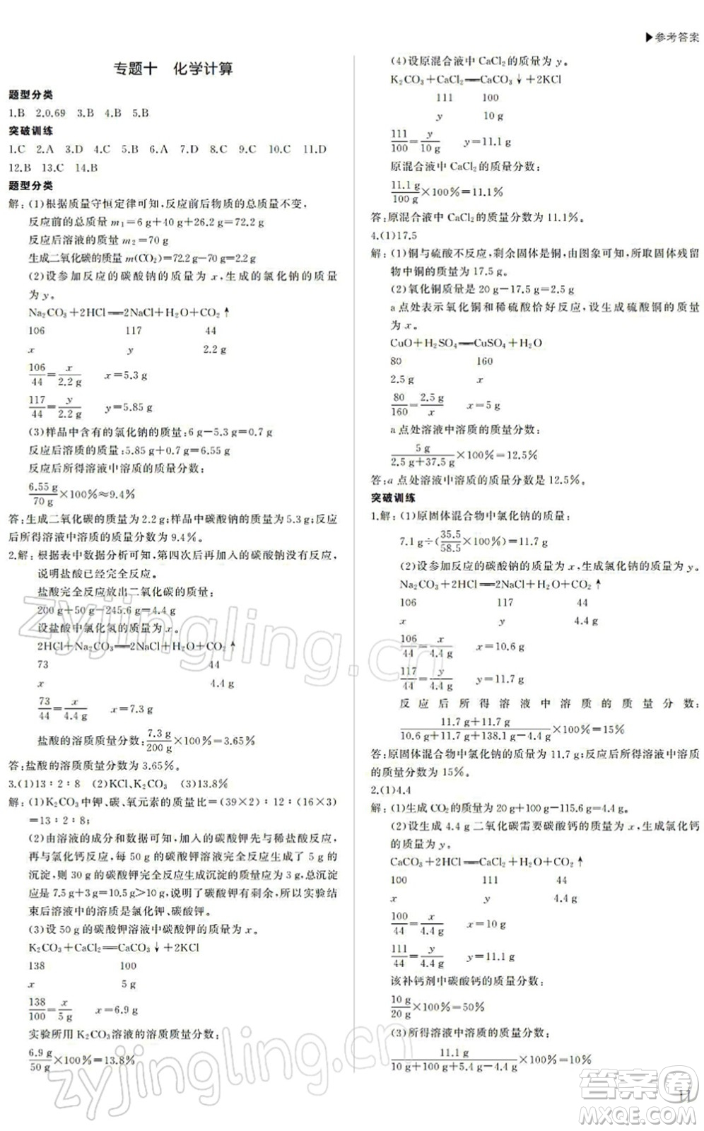 內蒙古大學出版社2022超越中考九年級化學下冊人教版答案