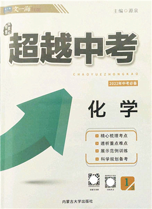 內蒙古大學出版社2022超越中考九年級化學下冊人教版答案