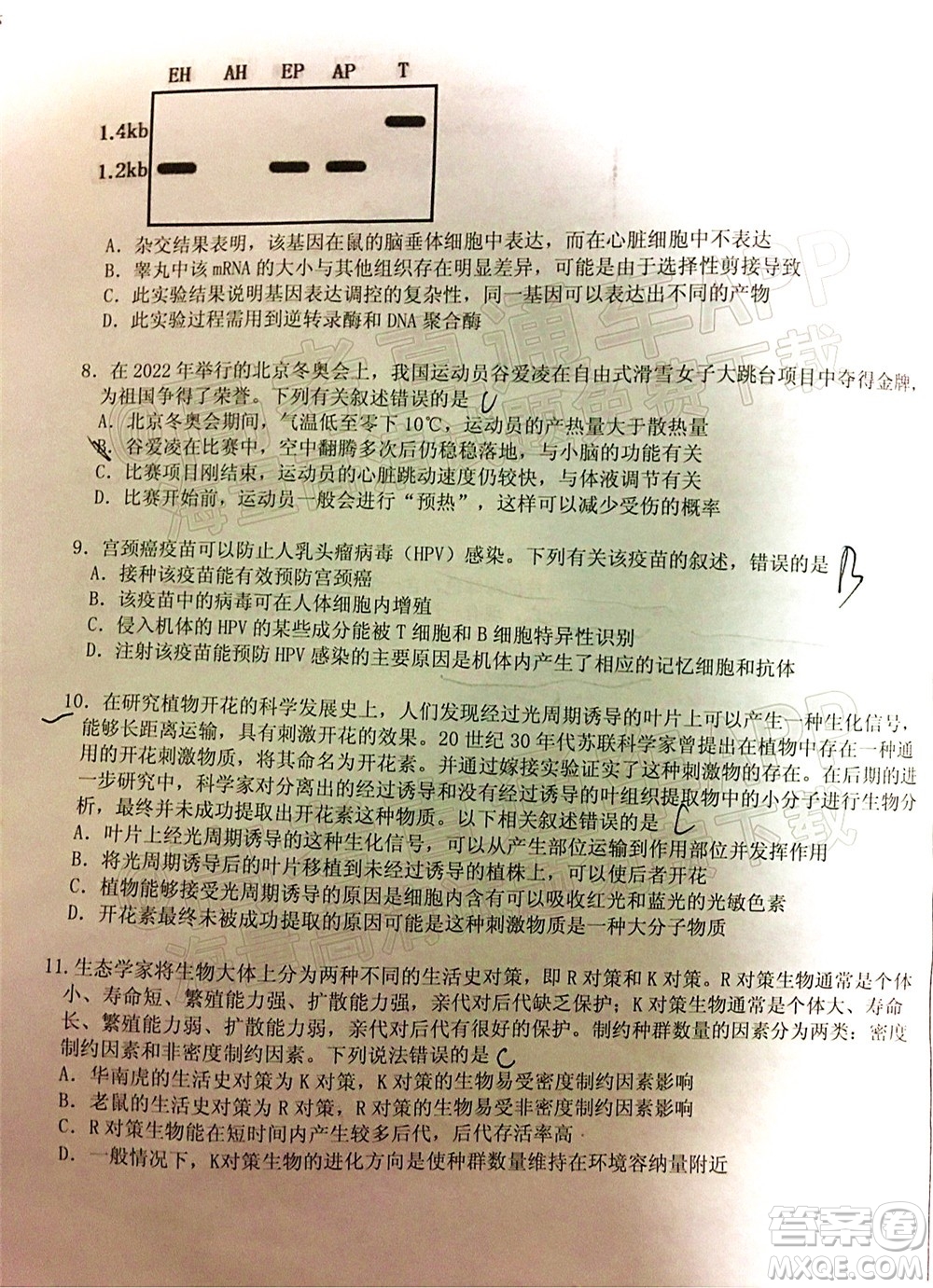 山東中學(xué)聯(lián)盟2022年高考考前熱身押題高三生物試題及答案