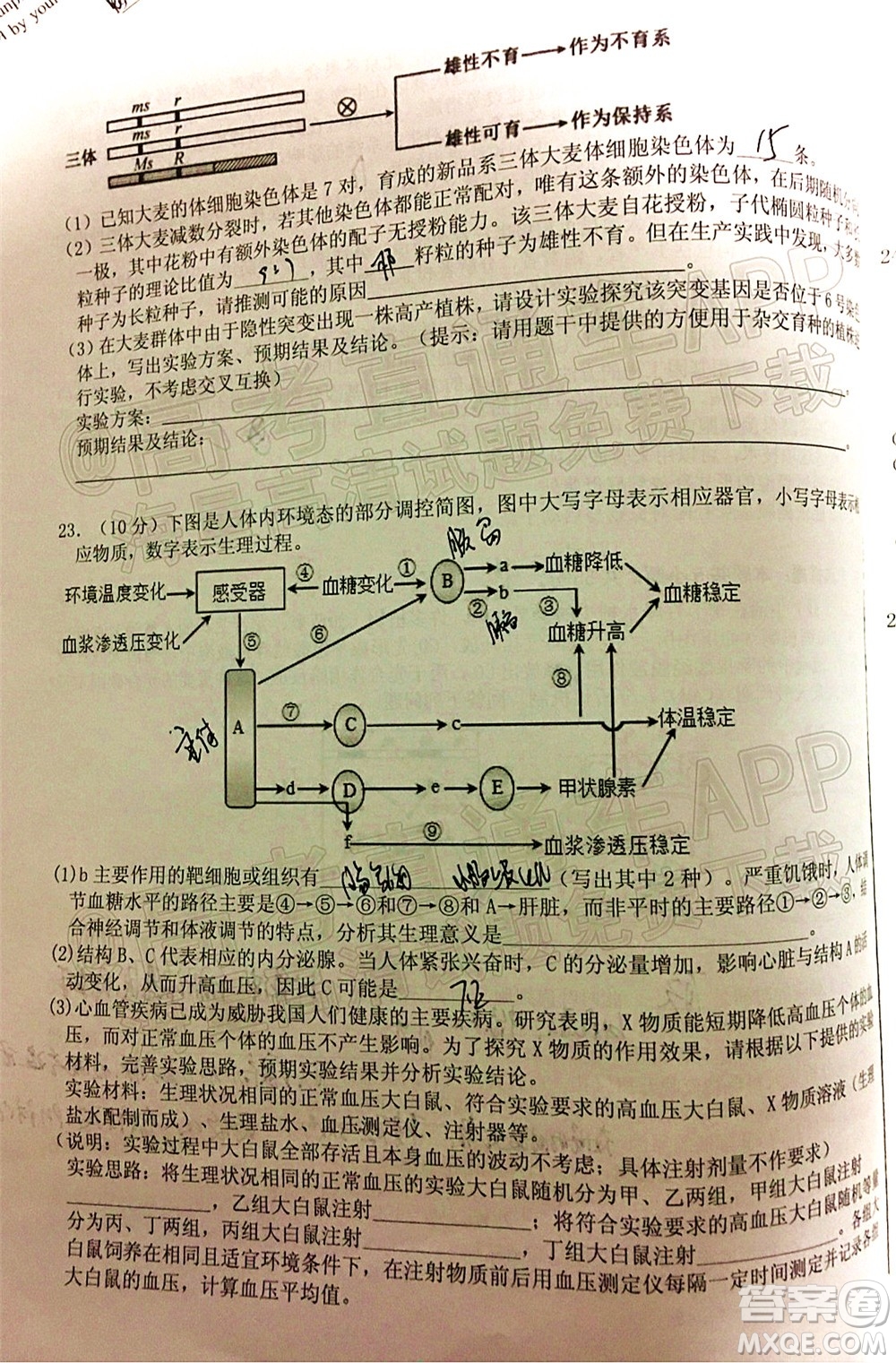 山東中學(xué)聯(lián)盟2022年高考考前熱身押題高三生物試題及答案