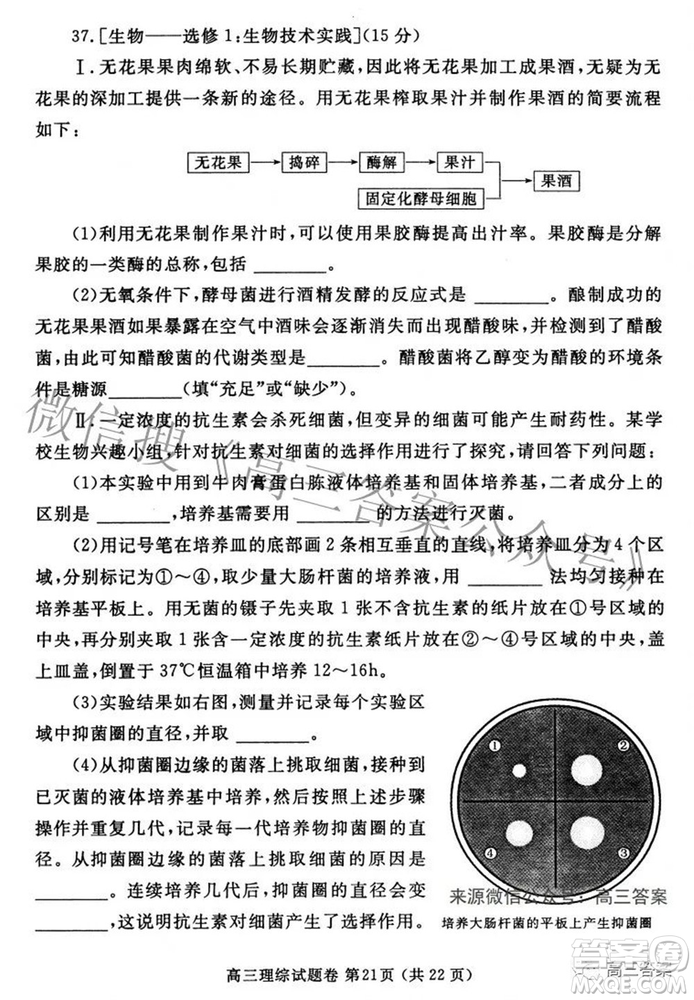 鄭州市2022年高中畢業(yè)年級第三次質量預測理科綜合試題及答案