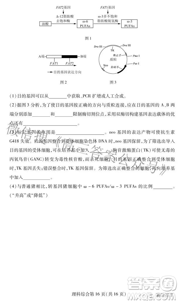 2022年東北三省四市教研聯(lián)合體高考模擬試卷二理科綜合試題及答案