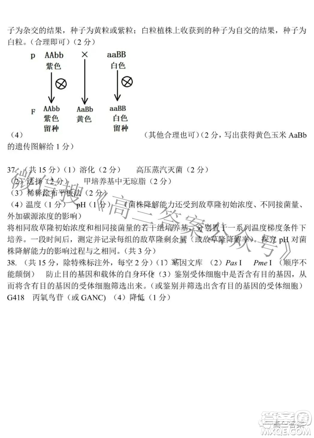 2022年東北三省四市教研聯(lián)合體高考模擬試卷二理科綜合試題及答案