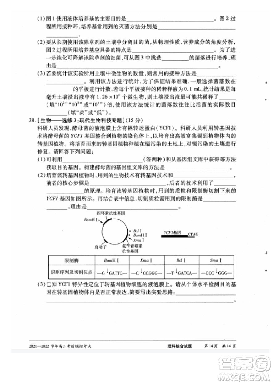 天一大聯(lián)考2021-2022學(xué)年高三考前模擬考試理科綜合試題及答案