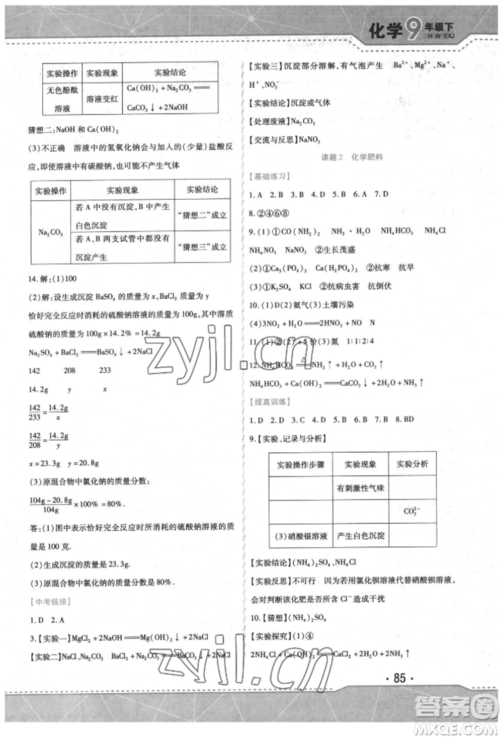 吉林出版集團(tuán)股份有限公司2022精析巧練階段驗(yàn)收與測(cè)試九年級(jí)下冊(cè)化學(xué)人教版參考答案