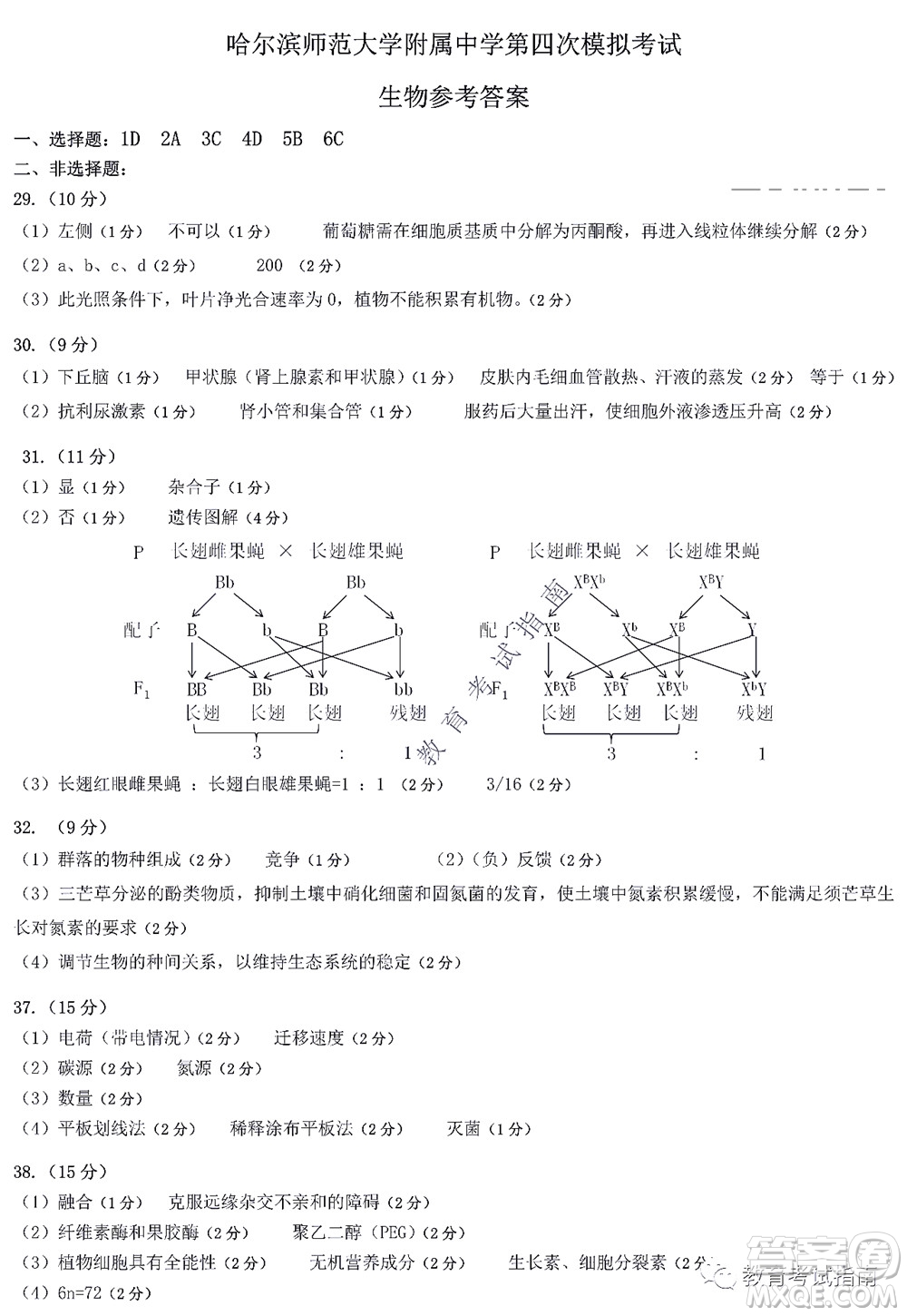 2022東北三省三校高三第四次模擬考試?yán)砜凭C合試題及答案