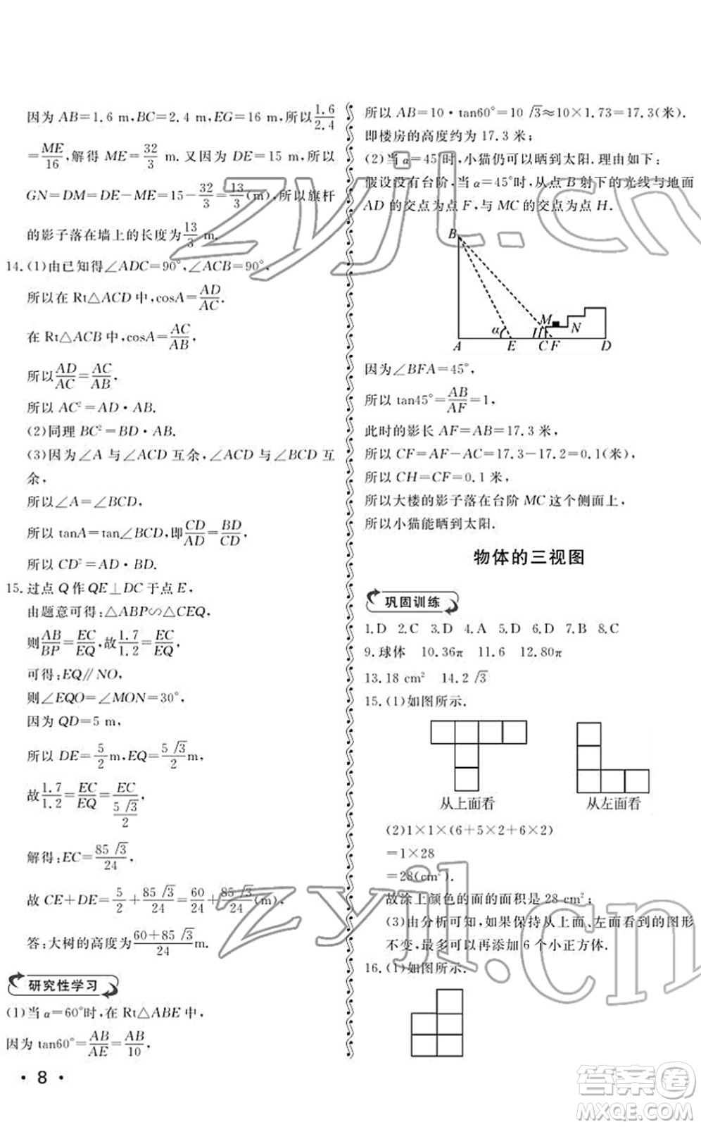 山東人民出版社2022初中卷行知天下九年級(jí)數(shù)學(xué)下冊(cè)青島版答案