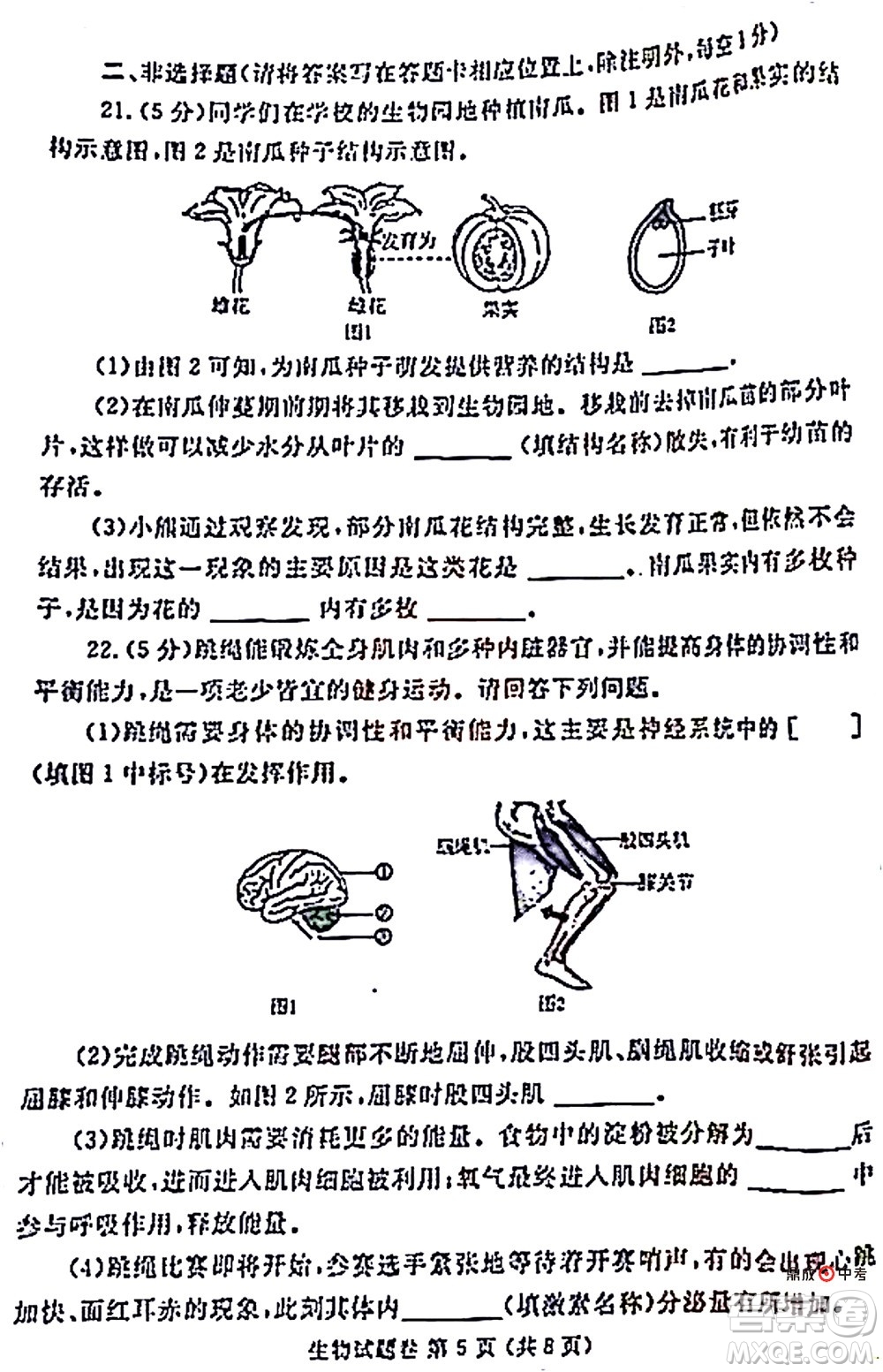 2022年鄭州市中招適應(yīng)性測(cè)試生物試卷及答案