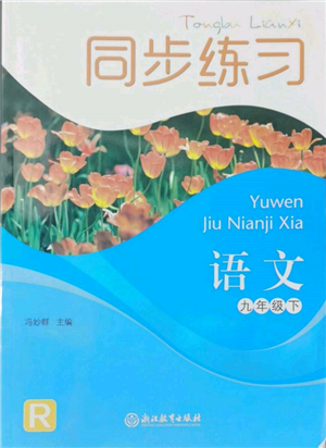 浙江教育出版社2022同步練習九年級下冊語文人教版參考答案