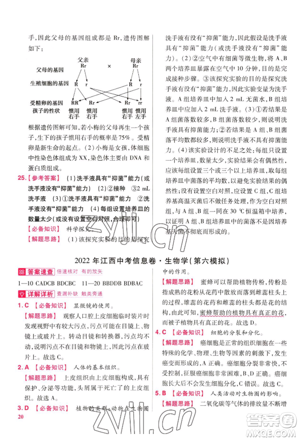 延邊教育出版社2022金考卷百校聯(lián)盟中考信息卷生物學通用版江西專版參考答案