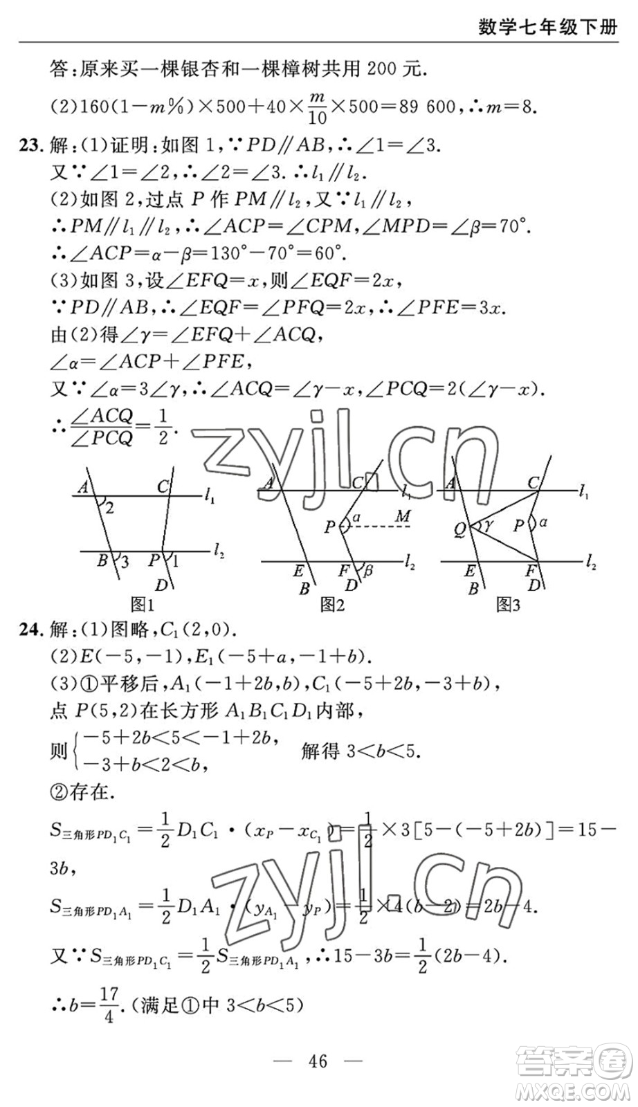 長江少年兒童出版社2022智慧課堂自主評價七年級數(shù)學(xué)下冊通用版宜昌專版答案