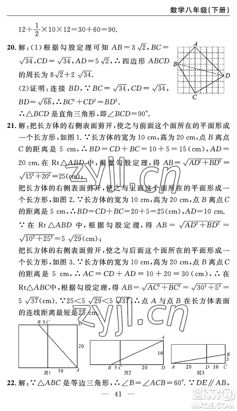 長江少年兒童出版社2022智慧課堂自主評價(jià)八年級數(shù)學(xué)下冊通用版答案