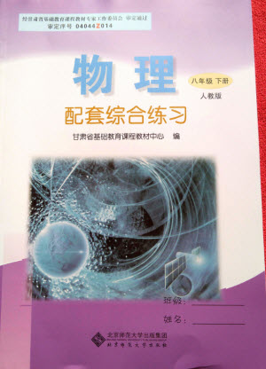 北京師范大學(xué)出版社2022物理配套綜合練習(xí)八年級下冊人教版答案