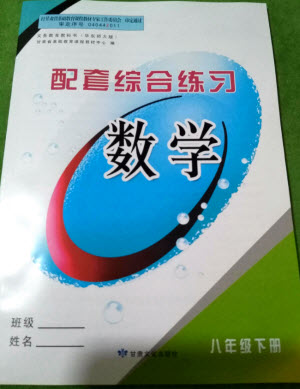 甘肅文化出版社2022配套綜合練習(xí)數(shù)學(xué)八年級(jí)下冊(cè)華東師大版答案